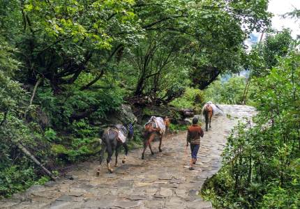 Journey to Hemkunt Sahib