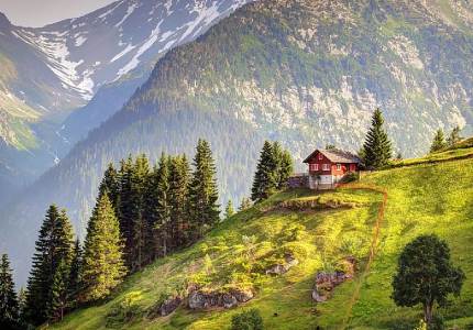 Heavenly Himachal Trail