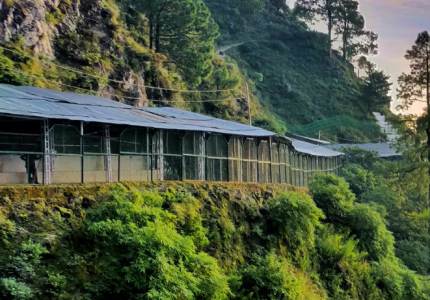 Katra Taxi Rental Service