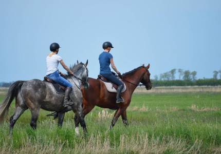 Divine Hills Odyssey: Amritsar–Dalhousie–Dharamshala