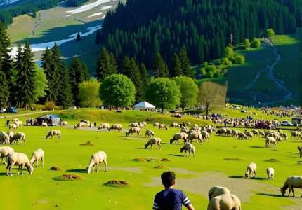 Kashmir Discovery Tour from Chandigarh