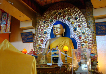 Amritsar–Dharamshala Hillscape