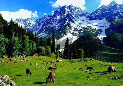 Amritsar Kashmir Scenic Escape