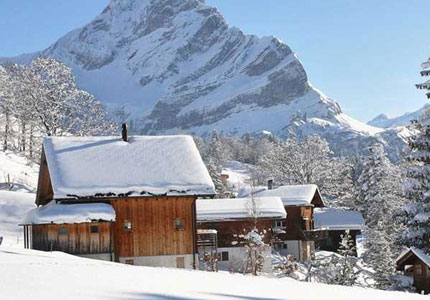 Twin Towns Explorer: Shimla & Manali Adventure